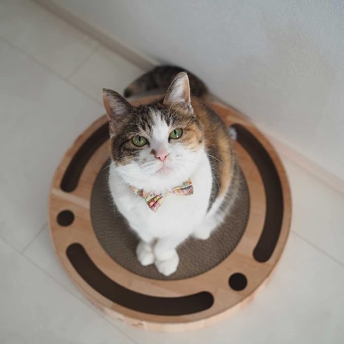 Interactive Track Ball Cat Scratcher