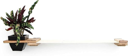 Catastrophic Creations Cat Planter Lounge Cat Hammock — 33-Inch Onyx Bamboo/Natural Canvas— Cat Wall Shelf— Cat Wall Furniture — Cat Climbing Shelves — Cat Floating Shelves — Cat Wall Hammock