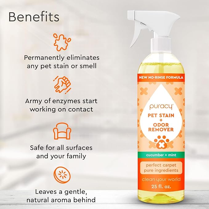 Puracy Natural Pet Stain and Odor Remover Plant-Powered Professional Pet Urine Odor Eliminator with Natural Enzymes Safe and Effective Carpet Pet Stain Remover and Cleaner, Cucumber & Mint, 25oz