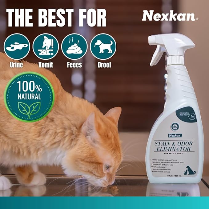 Stain & Odor Eliminator for Pets and Home-Spray-Strong Odors-Liter Deodorizer-for Urine-Poop-Carpet Cleaner-Smell Remover-Absorber-Color Safe-Natural Scent Neutralizer for Dogs & Cats- 28 oz.