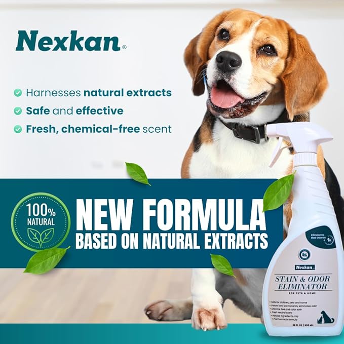 Stain & Odor Eliminator for Pets and Home-Spray-Strong Odors-Liter Deodorizer-for Urine-Poop-Carpet Cleaner-Smell Remover-Absorber-Color Safe-Natural Scent Neutralizer for Dogs & Cats- 28 oz.
