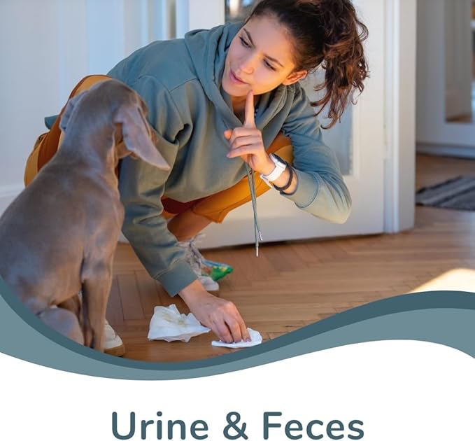 Reliable Odor Stain Eliminator Rapid-Acting Formula Banish Tough Smells and Stains For Home, Office, and Pet Areas - An Organic Solution for Freshness and Cleanliness Everywhere - 32oz
