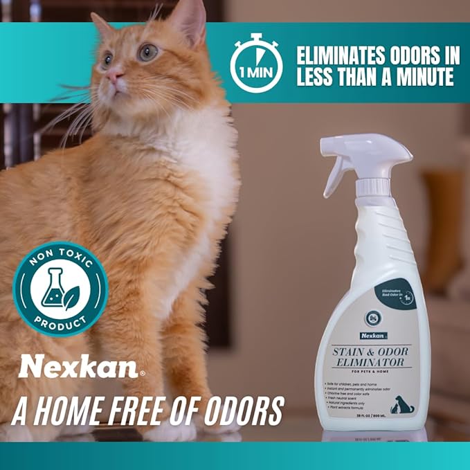 Stain & Odor Eliminator for Pets and Home-Spray-Strong Odors-Liter Deodorizer-for Urine-Poop-Carpet Cleaner-Smell Remover-Absorber-Color Safe-Natural Scent Neutralizer for Dogs & Cats- 28 oz.