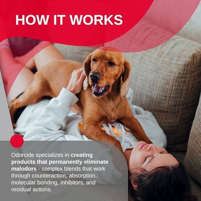 Odorcide Odor Eliminator Concentrate: Odor Eliminator for Strong Odor on Carpets, Hardwood & More - Smoke, Sweat & Pet Odor Eliminator for Home w/Non-Enzymatic Formula, 64 oz