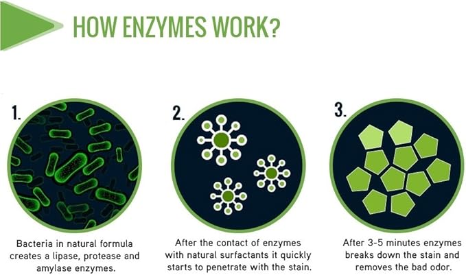 GreenFist Pet Stain & Odor Remover Magic Fast Acting Carpet Spot Cleaner Enzyme Powered Formula Cats,Dogs, Small Animal, 1 Gallon