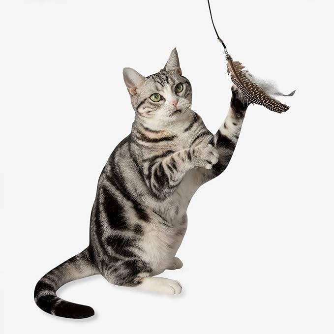 Cat Teaser with Feaders - Retractable - Ergononic with 2 Replacements