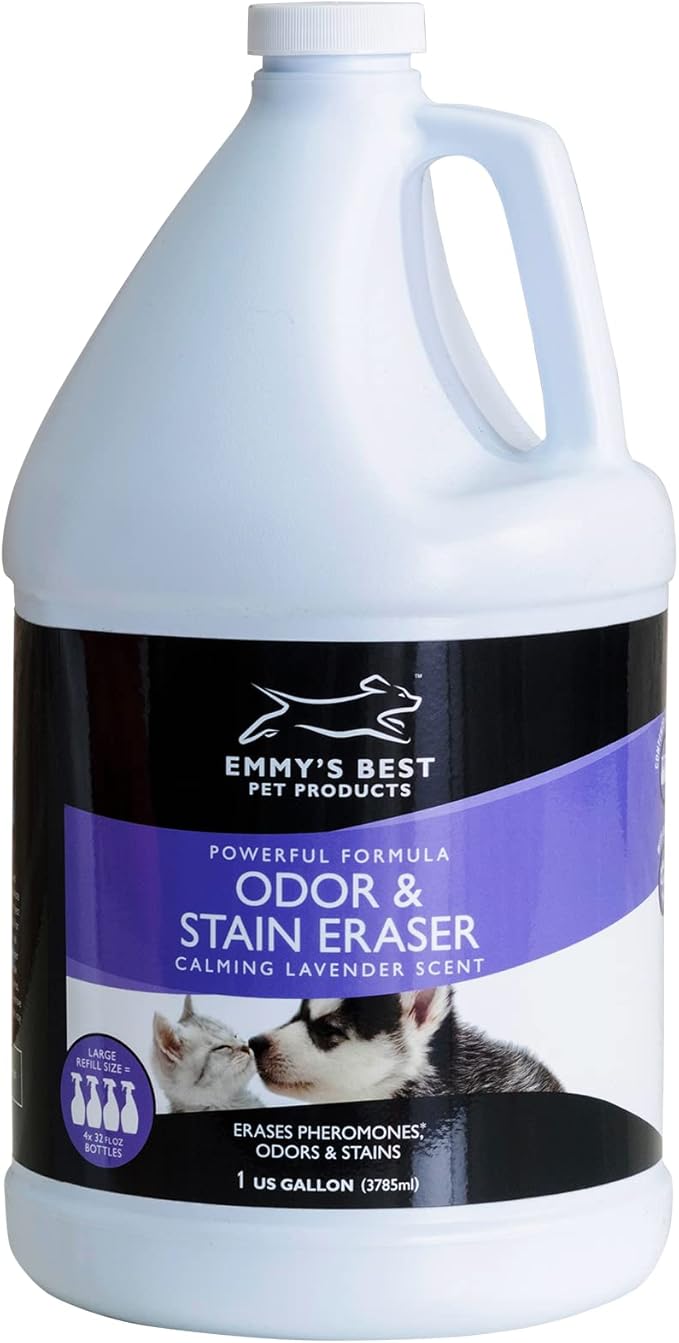 EBPP Odor & Stain Eraser - Made in The USA - Pet Odor Absorber and Room Deodorizer for Home Use - Odor Remover and Urine Odor Eliminator - Lavender Enzyme Carpet Cleaner