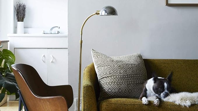 Capture Pet Stain & Odor Remover - Enzyme Pet Odor Eliminator for Home, Carpet Stain Remover for Cats & Dog Pee, Cat Urine Destroyer, Carpet Cleaner Spray - 1 Gallon Bottle