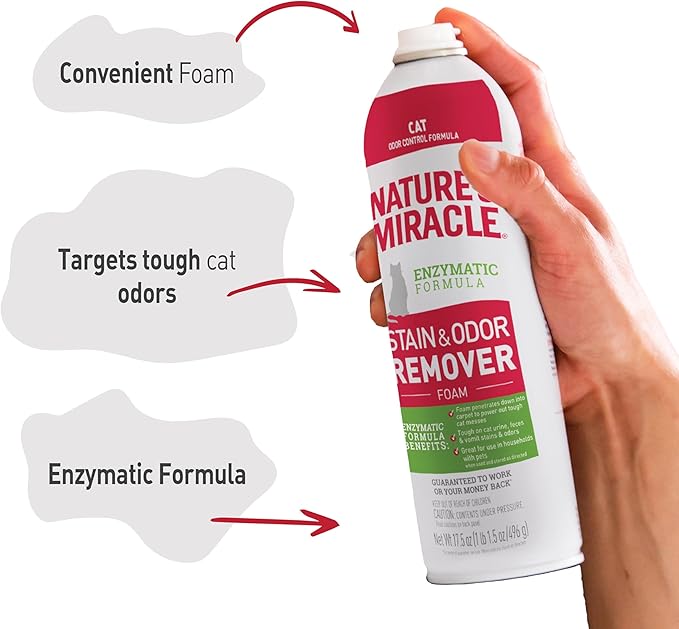 Nature's Miracle Advanced Stain and Odor Eliminator Foam Cat 17.5 Ounces, for Severe Cat Messes, Aerosol