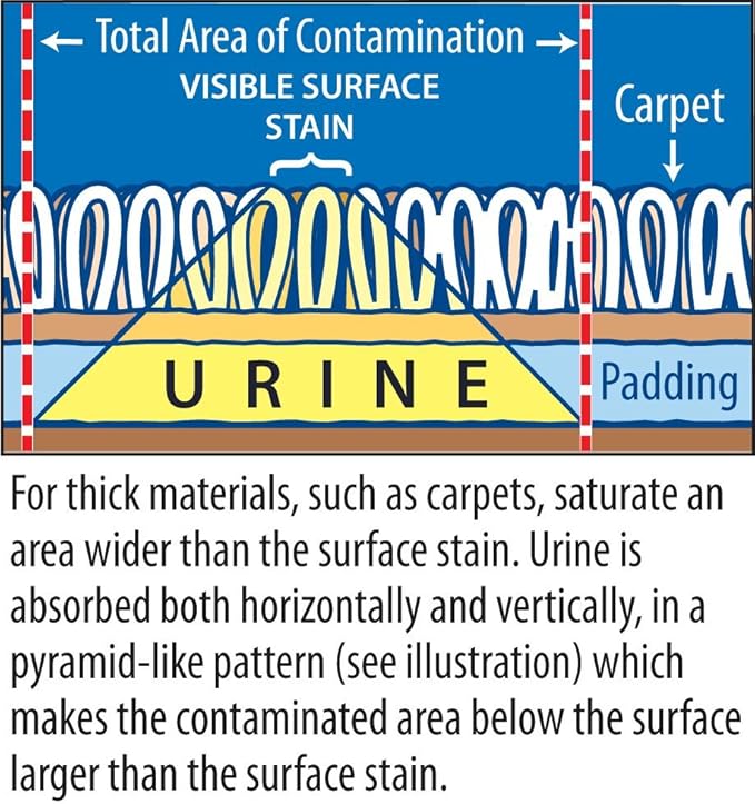 Instantly Cat Urine Odor Remover & Eliminator Cleaning Solution, Oxidizer Based Pee Cleaner Solution & Deodorizer for Carpets, Outdoor Rugs, Rugs, Mattress, etc. 2-128 oz Gallons