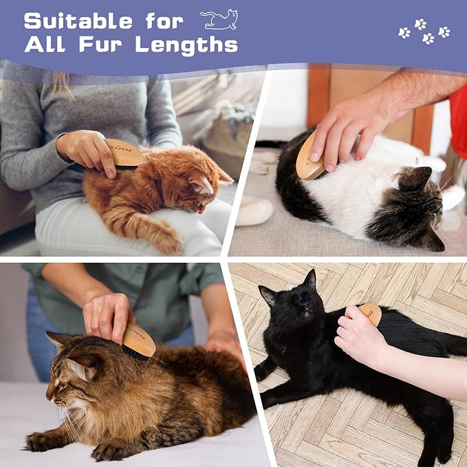 Ultimate Cat Brush for Shedding Control- Professional Cat Grooming Brush with Soft Boar Bristles - Cat Brushes for Indoor Cats- Promotes Healthy Coat and Relaxing Massages