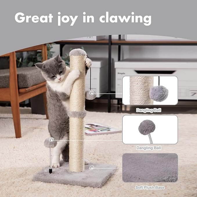 MECOOL Cat Scratching Post Premium Basics Kitten Scratcher Sisal Scratch Posts with Hanging Ball 22" for Kittens or Smaller Cats (22 inches for Kitten, Gray)