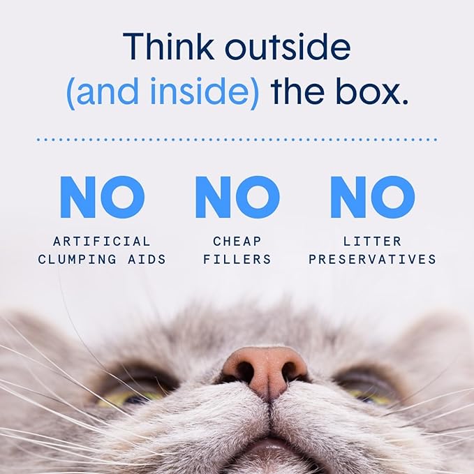 Boxie Pro Probiotic Unscented Scoop & Spray™ Litter Extender, 24 oz, Odor Eliminator, Extends Litter Life, Safe for All Litter Types, Won’t Cause Clumping, Pet & Cat Odor Control