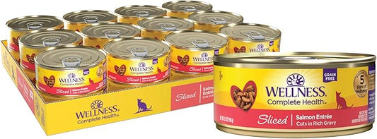 Wellness Natural Pet Food Wellness Complete Health Natural Grain Free Wet Canned Cat Food, Sliced Salmon Entree, 5.5 Ounce (Pack of 24)