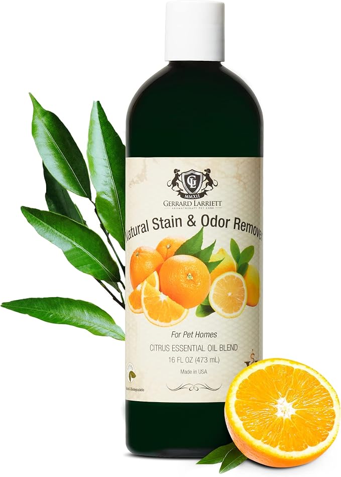 Natural Pet Stain and Odor Remover - Pet Urine Enzyme Cleaner with Dog & Cat Urine Odor Eliminator - Pet Carpet Cleaner Solution with Citrus Oil Blends, 16 oz