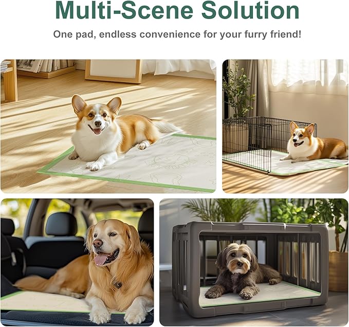 Dog Pee Pads 50Counts, 24"X36" Disposable Pee Pads for Dogs with 4 Sticky Corners, Leak-Proof 6Layers Thicken Puppy Pee Pads Extra Large, Non-Slip Puppy Training Pads for Crate/Cage/Carrier