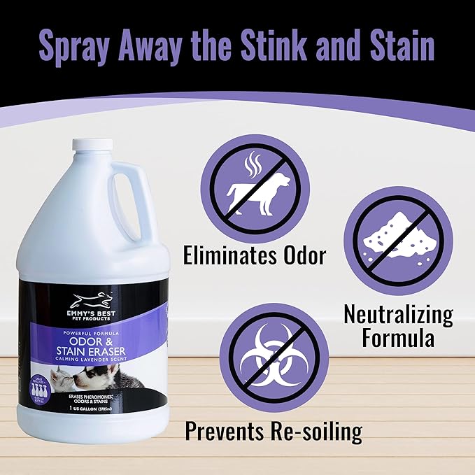 EBPP Odor & Stain Eraser - Made in The USA - Pet Odor Absorber and Room Deodorizer for Home Use - Odor Remover and Urine Odor Eliminator - Lavender Enzyme Carpet Cleaner