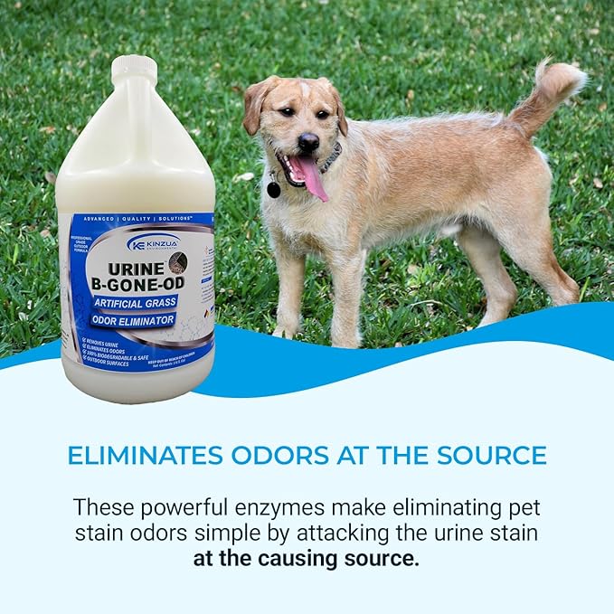 KINZUA ENVIRONMENTAL Urine B-Gone-OD Professional Pet Urine Enzyme Cleaner, Pet Yard Odor Eliminator for Artificial Grass, Concrete & More, 1 Gallon