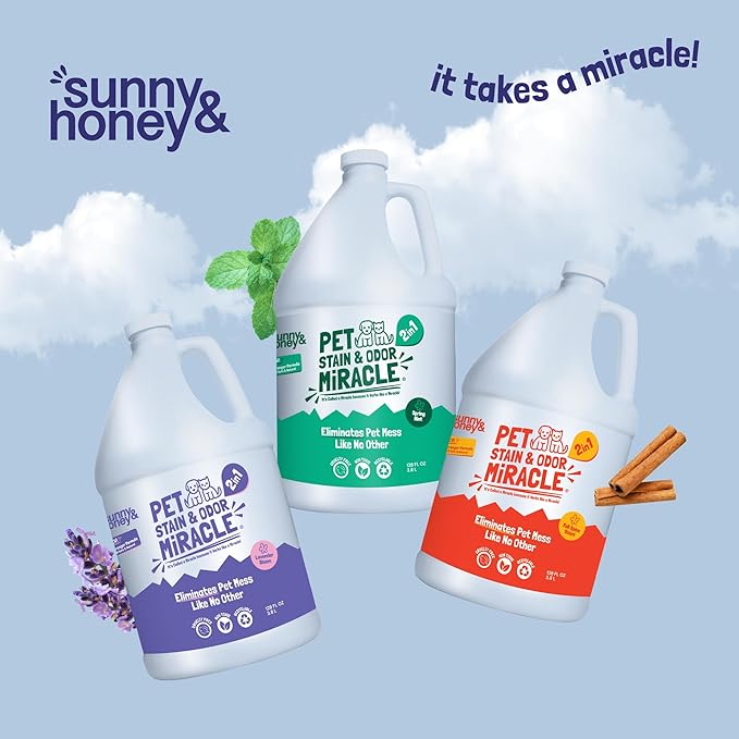 Sunny & Honey Pet Stain & Odor Miracle – Enzyme Cleaner for Dogs & Cats – Pet Odor Eliminator for Strong Smells & Floors – Light Lavender Scent Carpet Cleaner – 1 Gallon Stain & Smell Remover