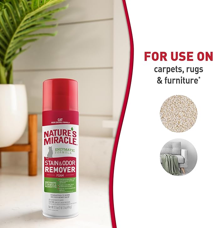 Nature's Miracle Advanced Stain and Odor Eliminator Foam Cat 17.5 Ounces, for Severe Cat Messes, Aerosol (1 CASE of 6 Individual 17.5 OZ CANS)