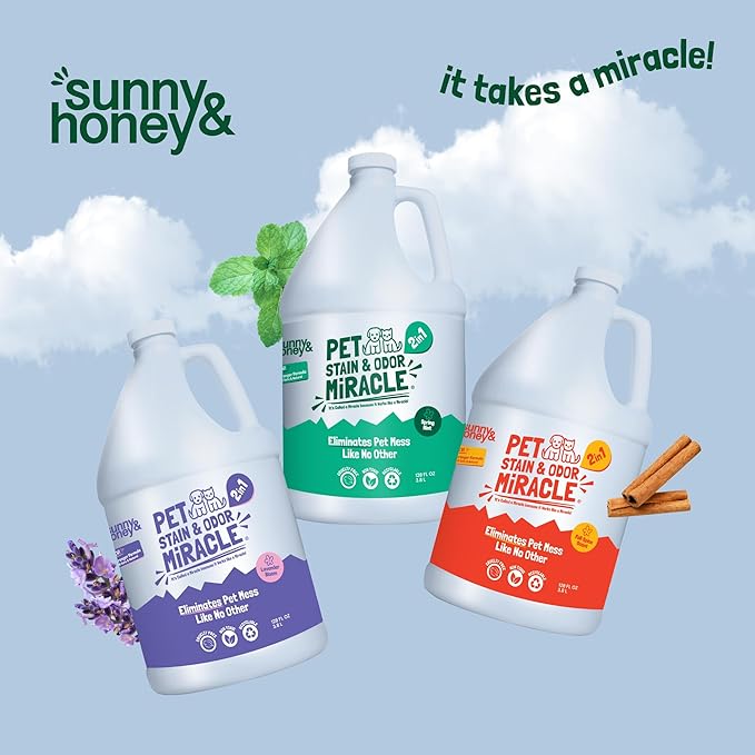 Sunny & Honey Pet Stain and Odor Remover - Enzyme Cleaner, Pet Odor Eliminator, Carpet Stain Remover, Odor Neutralizer, Carpet Cleaner for Pets, 1 Gallon Pet Carpet Cleaner Solution, Carpet Deodorizer
