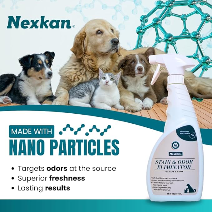Stain & Odor Eliminator for Pets and Home-Spray-Strong Odors-Liter Deodorizer-for Urine-Poop-Carpet Cleaner-Smell Remover-Absorber-Color Safe-Natural Scent Neutralizer for Dogs & Cats- 28 oz.