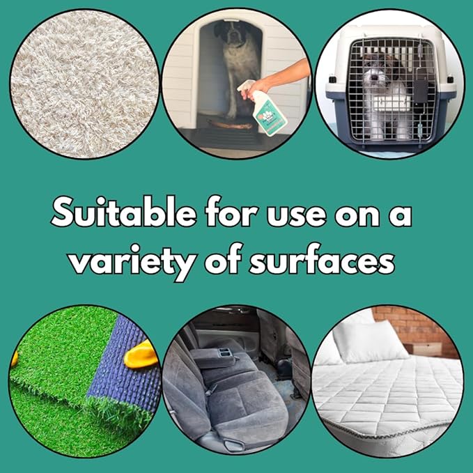 Pet Stain & Odor Remover - Fast-Acting Enzyme Cleaner for Dog & Cat Urine - Safe for Carpets, Floors, Furniture - Non-Toxic, Pet-Safe Formula - 32 oz Spray