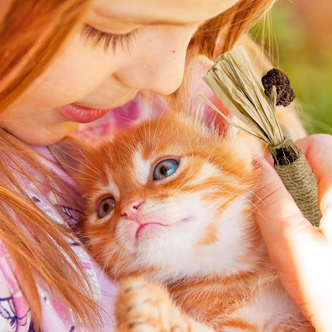 Catnip Toys with Silvervine for Cats, Cat Chew Toy for Kitten Teething, Interactive Cat Toy for Indoor Cats, Silvervine Sticks Cat Toys