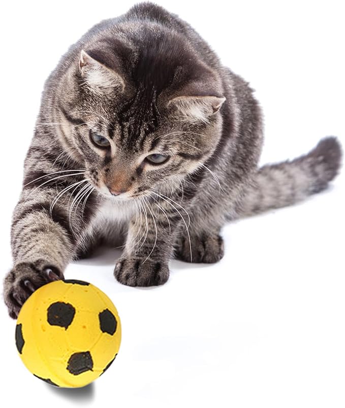 CoCoo Sponge Cat Balls, 1.5 - Inches, Soft Foam Soccer Balls for Exercise and Interactive Activity, Sturdy, Bouncy Balls for Feline (24 Pieces)