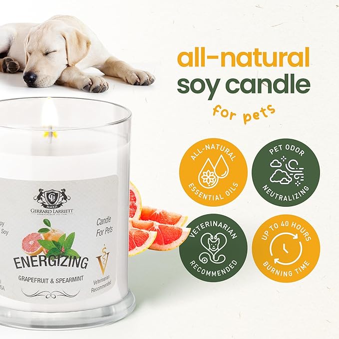 Gerrard Larriett: Energizing Grapefruit & Spearmint Scented Candles for Home Decor and Pet Odor - Aromatherapy Stress Relief Soy Wax Candles - Pet Odor Eliminator for Home - Pet Friendly Candles