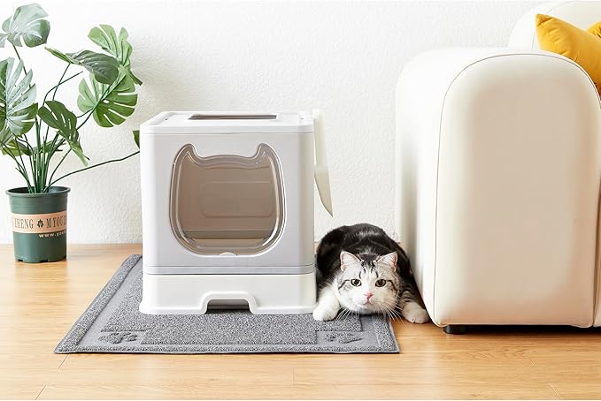 Gefryco Cat Litter Box with Lid, Top Entry Litter Box with Controlled Access, Covered Enclosed Cat Potty Odor Control, Kitten Litter Box for Small to Medium Cats, Scoop and Clean Brush Included(Grey)