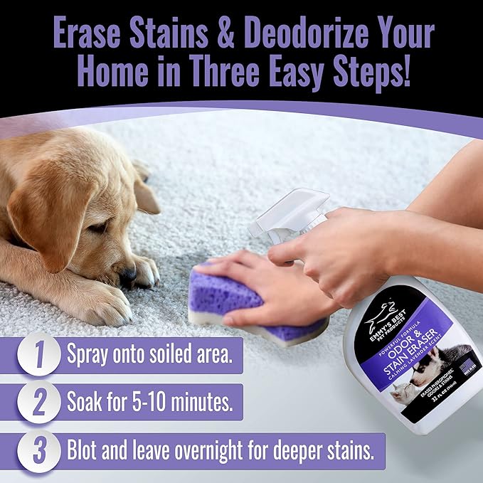 EBPP Odor & Stain Eraser - Made in The USA - Pet Odor Absorber and Room Deodorizer for Home Use - Odor Remover and Urine Odor Eliminator - Lavender Enzyme Carpet Cleaner