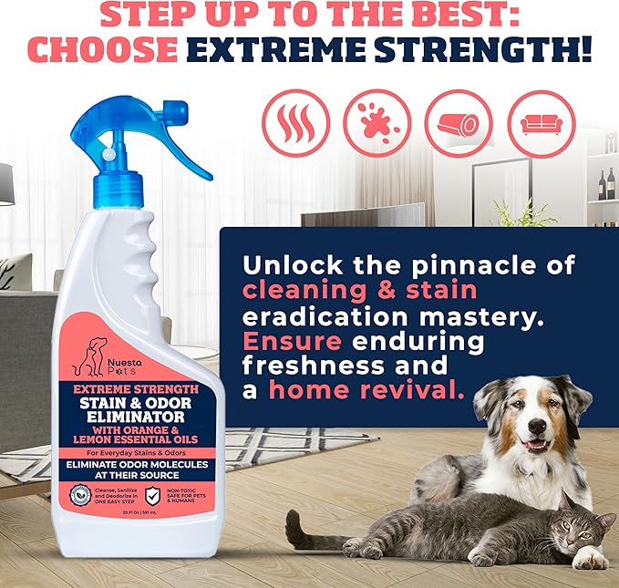 Extreme Strength Pet Stain & Odor Eliminator for Busy Pet Parents | Neutralize Tough Stains & Odors | Orange and Lemon for Deep Clean | Perfect for Cats & Dogs | 2-pk. 20-oz bottles - Nuesta Pets