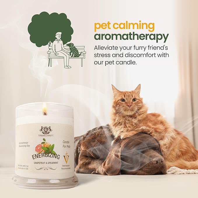 Gerrard Larriett: Energizing Grapefruit & Spearmint Scented Candles for Home Decor and Pet Odor - Aromatherapy Stress Relief Soy Wax Candles - Pet Odor Eliminator for Home - Pet Friendly Candles