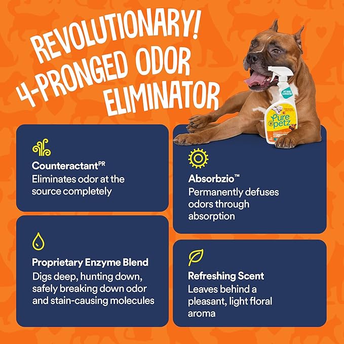 Stain & Odor Eliminator Enzyme Spray for Strong Pet Urine, Stain & Smell - Carpet Cleaner Pet Odor Remover for Home - Carpet Stain Remover for Cats & Dog Pee - Enzymatic Cat Urine Destroyer