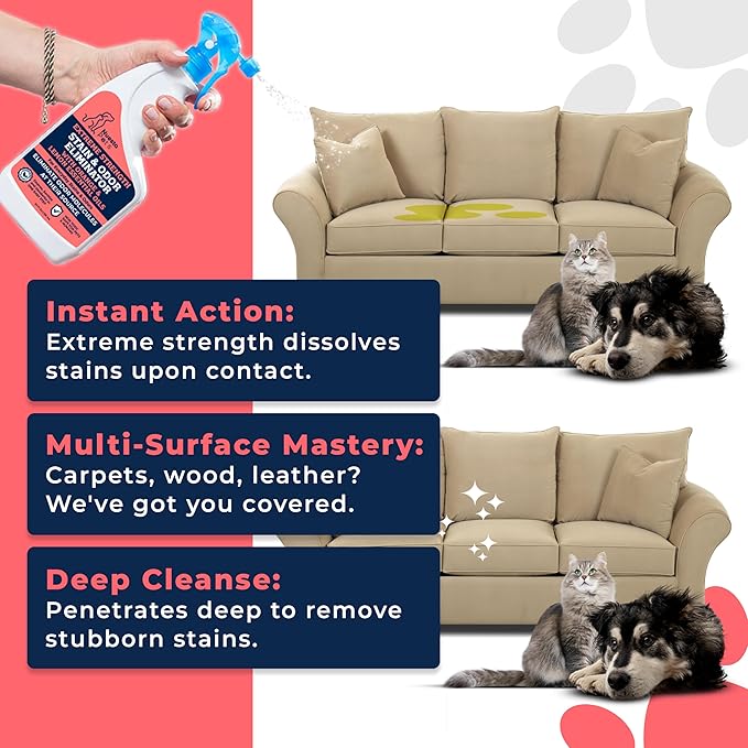 Extreme Strength Pet Stain & Odor Eliminator for Busy Pet Parents | Neutralize Tough Stains & Odors | Orange and Lemon for Deep Clean | Perfect for Cats & Dogs | 2-pk. 20-oz bottles - Nuesta Pets