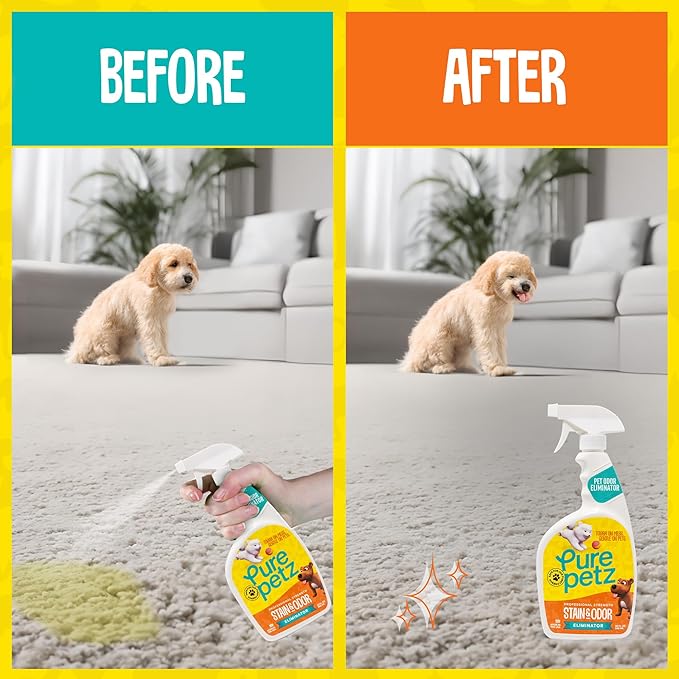 Stain & Odor Eliminator Enzyme Spray for Strong Pet Urine, Stain & Smell - Carpet Cleaner Pet Odor Remover for Home - Carpet Stain Remover for Cats & Dog Pee - Enzymatic Cat Urine Destroyer