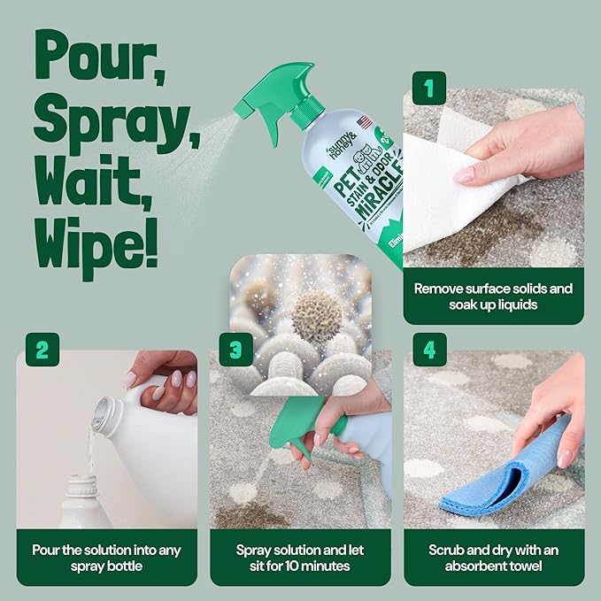Sunny & Honey Pet Stain and Odor Remover - Enzyme Cleaner, Pet Odor Eliminator, Carpet Stain Remover, Odor Neutralizer, Carpet Cleaner for Pets, 1 Gallon Pet Carpet Cleaner Solution, Carpet Deodorizer