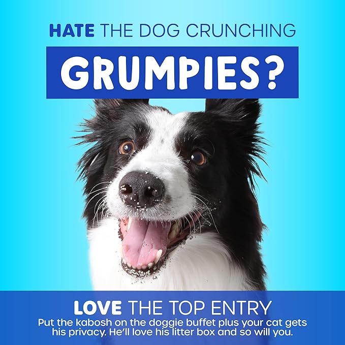 Petmate Top Entry Litter Cat Litter Box With Filter Lid To Clean Paws, Made in USA