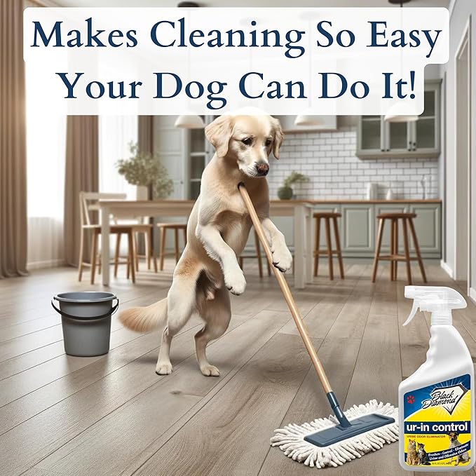 Ur-in Control Eliminates Urine Odors – Removes Cat, Dog, Pet, Odors Human Smells From Carpet, Furniture, Mattresses, Grout and Pet Bedding, Concrete. Biodegradable Enzymes. (1-Quart/1-Gallon)