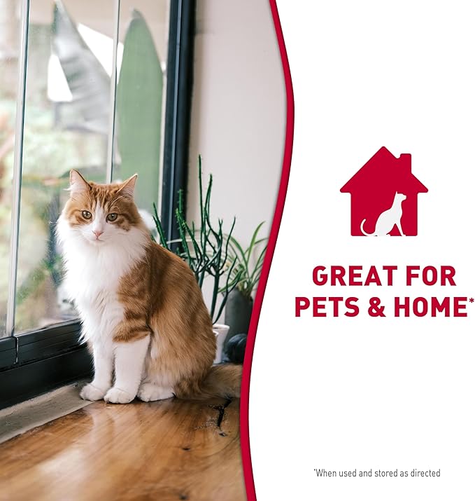 Nature's Miracle Advanced Stain and Odor Eliminator Foam Cat 17.5 Ounces, for Severe Cat Messes, Aerosol (1 CASE of 6 Individual 17.5 OZ CANS)