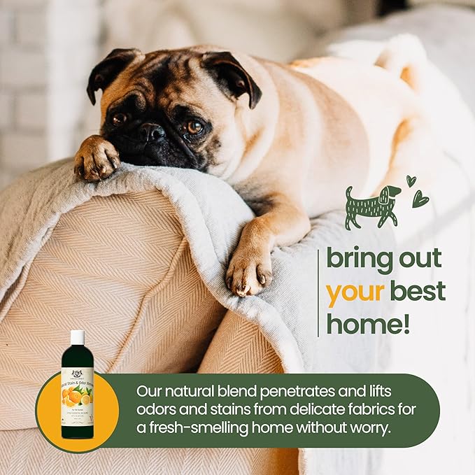 Natural Pet Stain and Odor Remover - Pet Urine Enzyme Cleaner with Dog & Cat Urine Odor Eliminator - Pet Carpet Cleaner Solution with Citrus Oil Blends, 16 oz