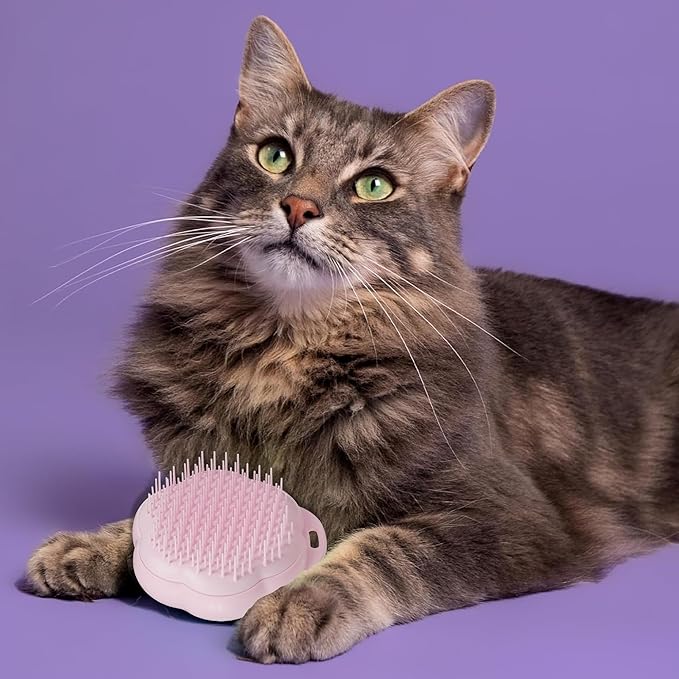 Pet Teezer by Tangle Teezer Cat Brush, De-Shedding Cat Hair Brush for a Gentle, Soothing Groom & Short to Medium Length Fur, Millennial Pink
