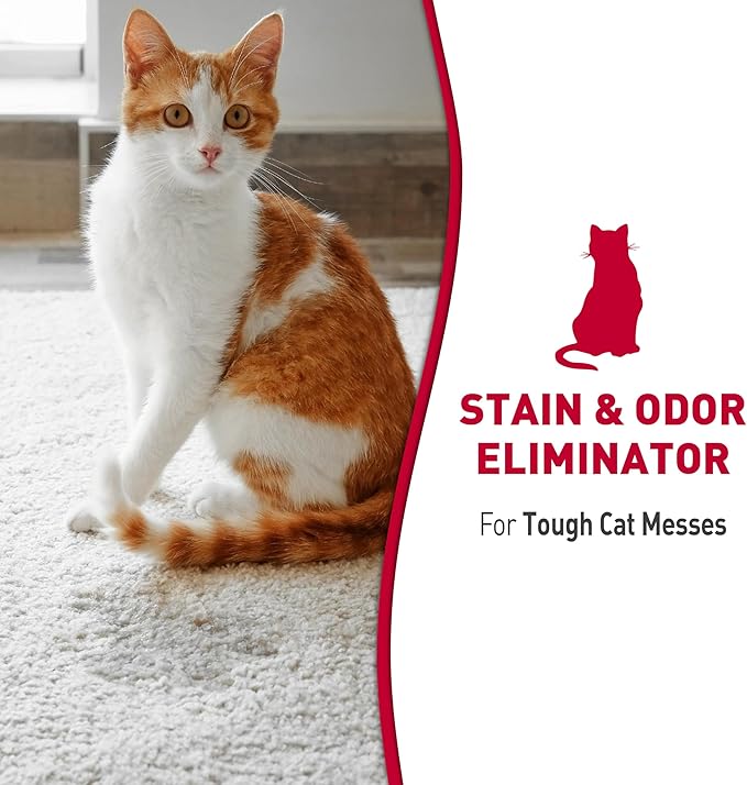 Nature's Miracle Advanced Stain and Odor Eliminator Foam Cat 17.5 Ounces, for Severe Cat Messes, Aerosol