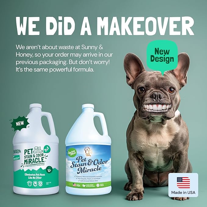 Sunny & Honey Pet Stain and Odor Remover - Enzyme Cleaner, Pet Odor Eliminator, Carpet Stain Remover, Odor Neutralizer, Carpet Cleaner for Pets, 1 Gallon Pet Carpet Cleaner Solution, Carpet Deodorizer