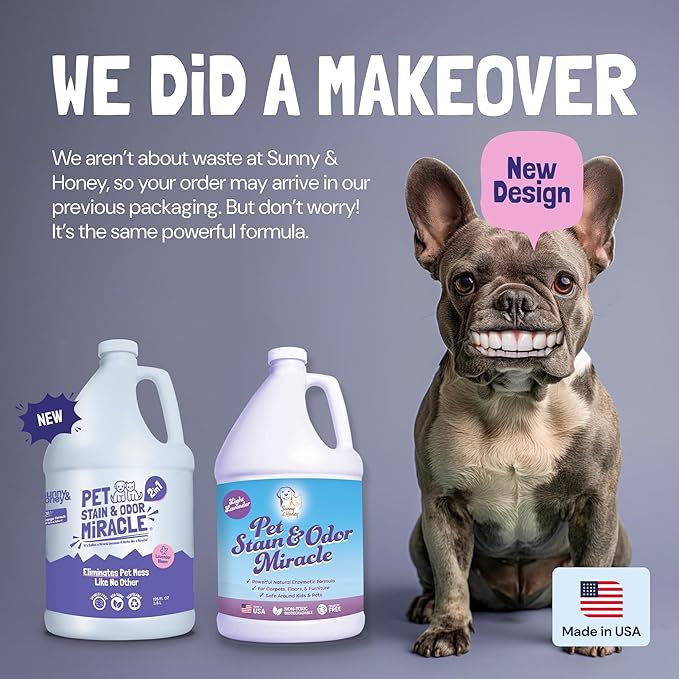 Sunny & Honey Pet Stain & Odor Miracle – Enzyme Cleaner for Dogs & Cats – Pet Odor Eliminator for Strong Smells & Floors – Light Lavender Scent Carpet Cleaner – 1 Gallon Stain & Smell Remover