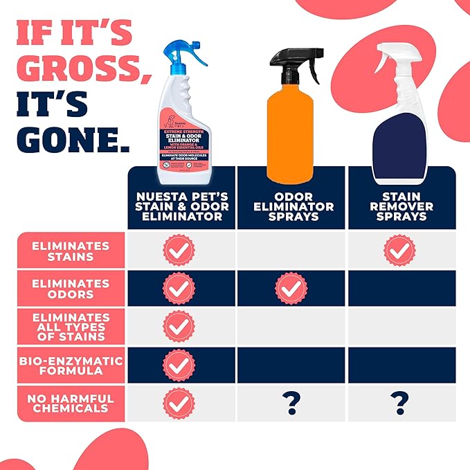 Extreme Strength Pet Stain & Odor Eliminator for Busy Pet Parents | Neutralize Tough Stains & Odors | Orange and Lemon for Deep Clean | Perfect for Cats & Dogs | 2-pk. 20-oz bottles - Nuesta Pets