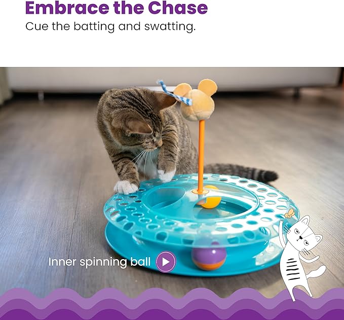 Catstages Cheese Chase Catnip Interactive Cat Track Toy