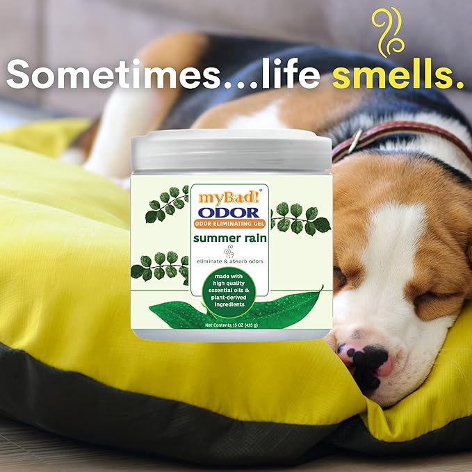 Odor Eliminator Essential Oil Gel 15 oz - Air Freshener - Eliminates Odors in Bathroom, Pet Area, Closets, RVs, Pet Areas (Summer Rain, 2 Pack)