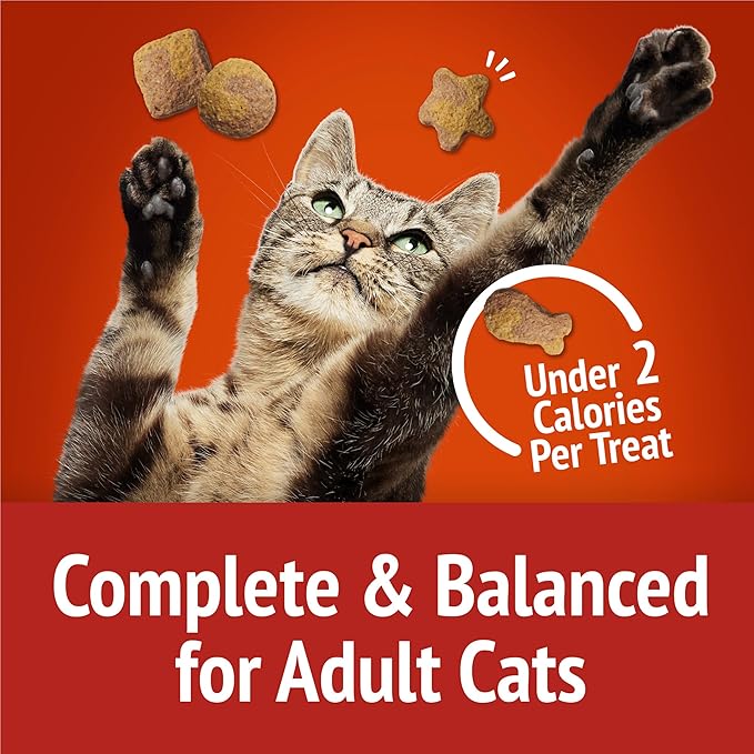 Purina Friskies Cat Treats, Party Mix Gravy-licious Crunch Chicken and Gravy Flavors - (Pack of 6) 6 oz. Pouches
